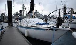 Featured image of post The Free Boat