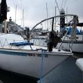 The Free Boat